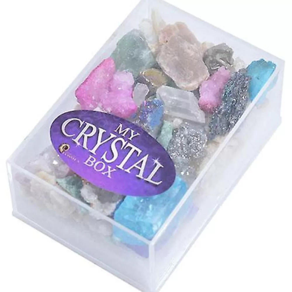 Outlet British Fossils Box Di Cristalli