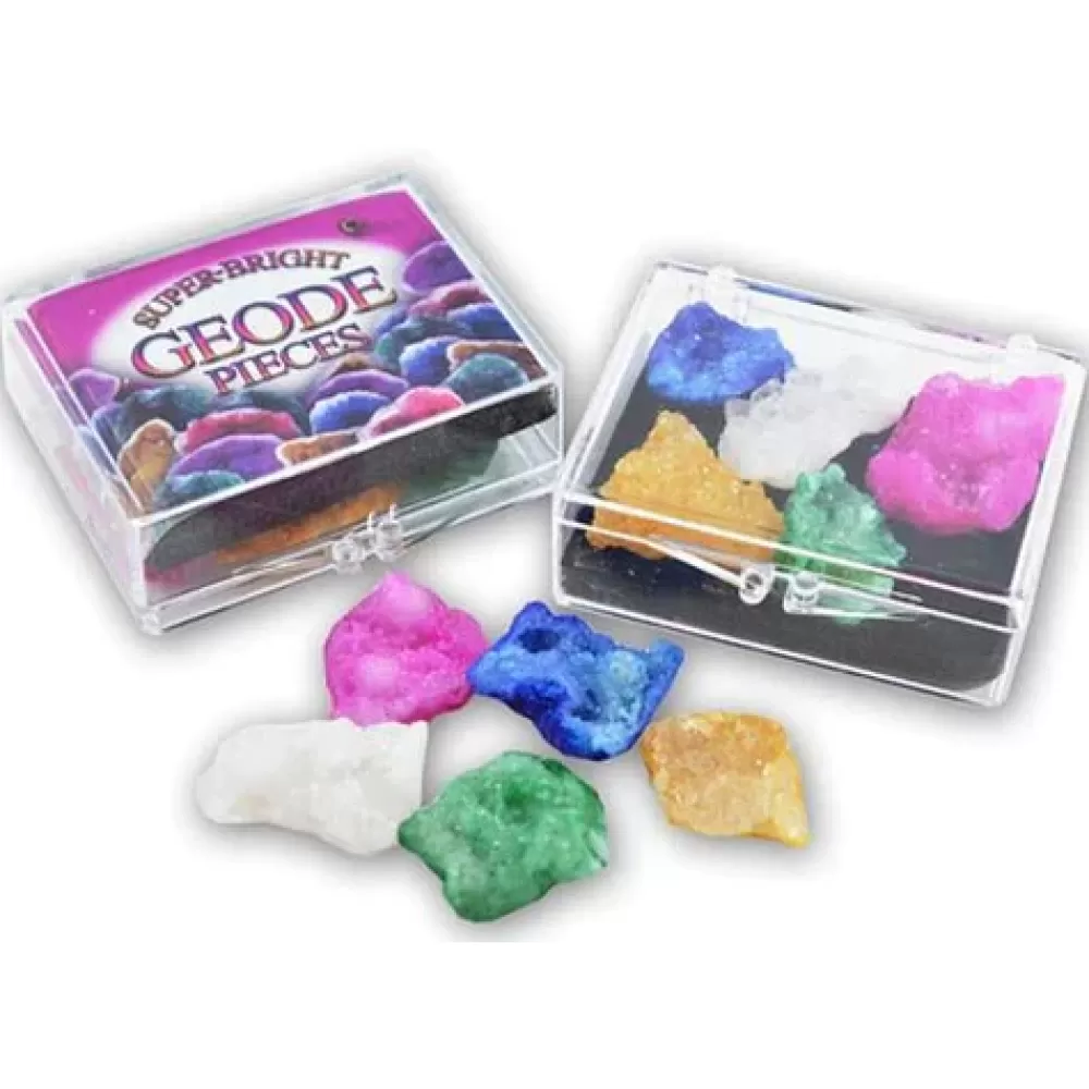 Cheap British Fossils Box Di Geodi