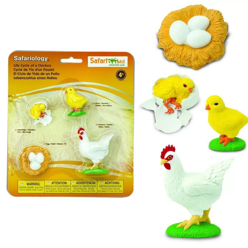 Best Sale Safari LTD Ciclo Vitale Della Gallina