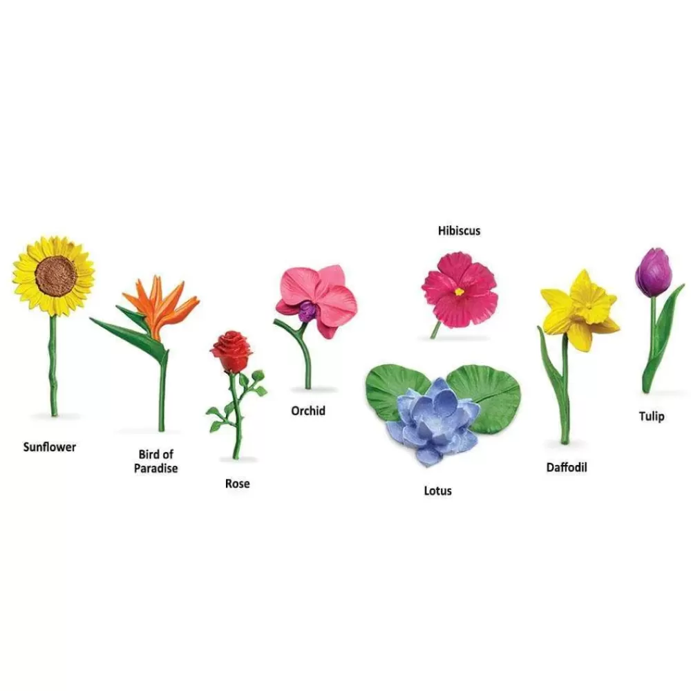 Hot Safari LTD Confezione Tubo Fiori