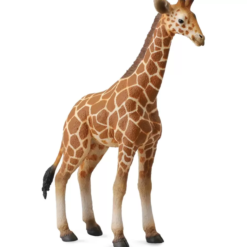 Store Collecta Cucciolo Di Giraffa Animale Giocattolo