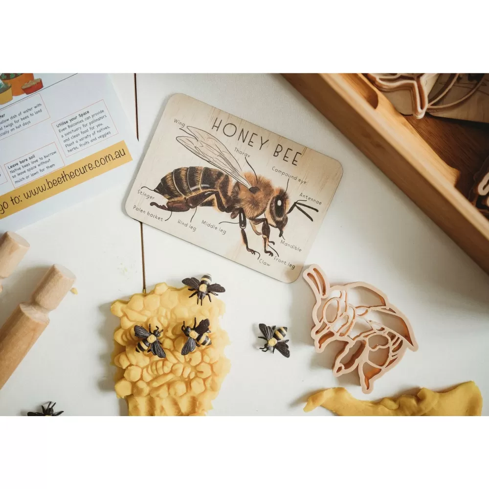 Fashion Kinfolk Pantry Formine In Bioplastica Per Pasta Modellabile Ape E Alveare Kinfolk Pan