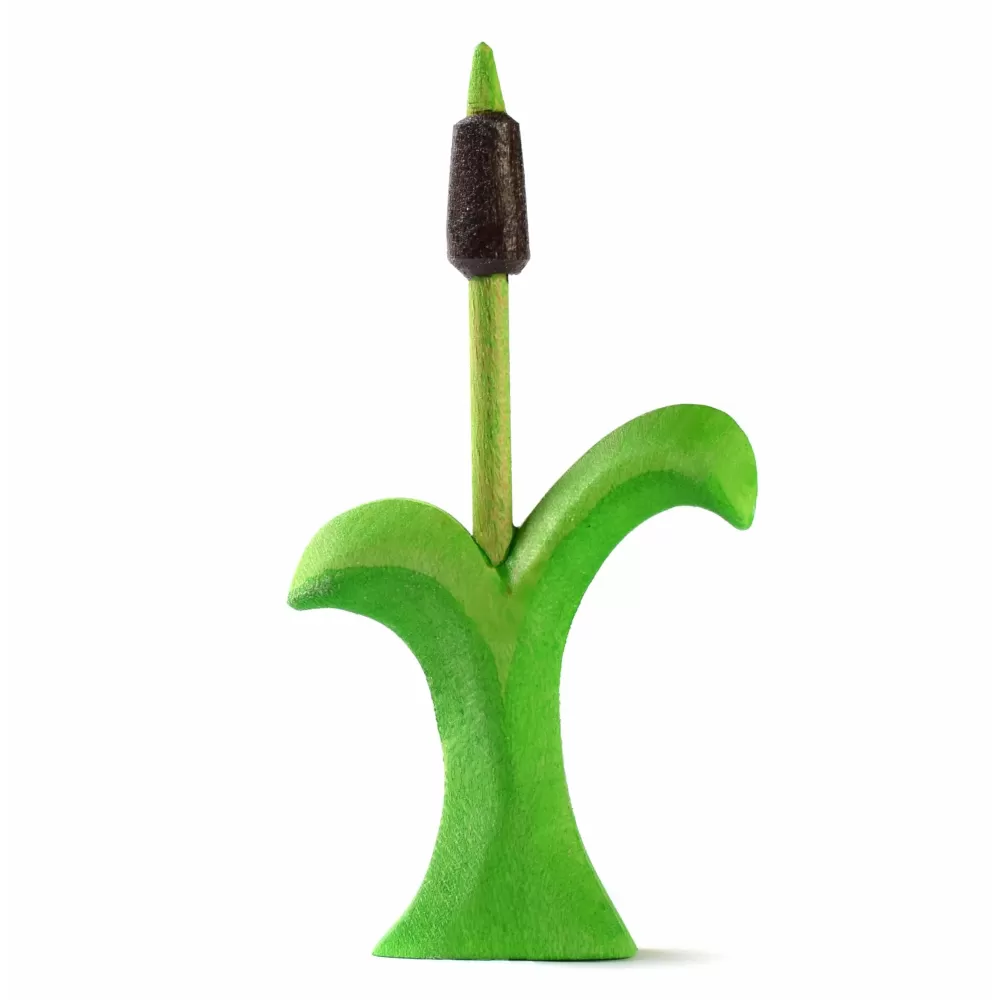 Best Bumbutoys Pianta Di Tifa In Legno
