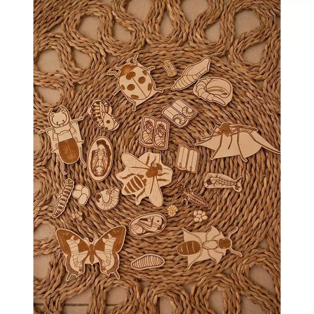 Cheap Stuka Puka Puzzle In Legno Ciclo Vitale Degli Insetti
