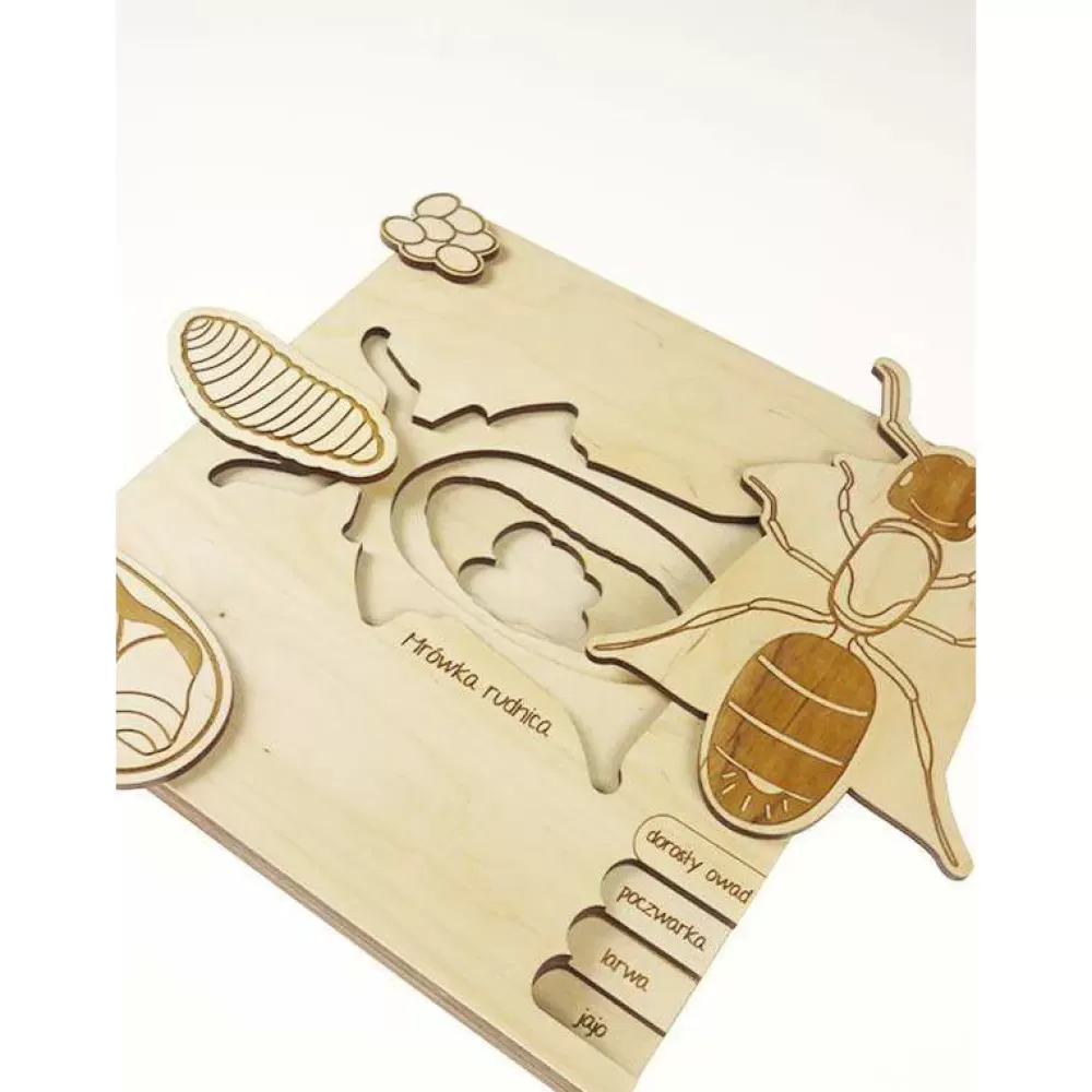 Cheap Stuka Puka Puzzle In Legno Ciclo Vitale Della Formica Rossa