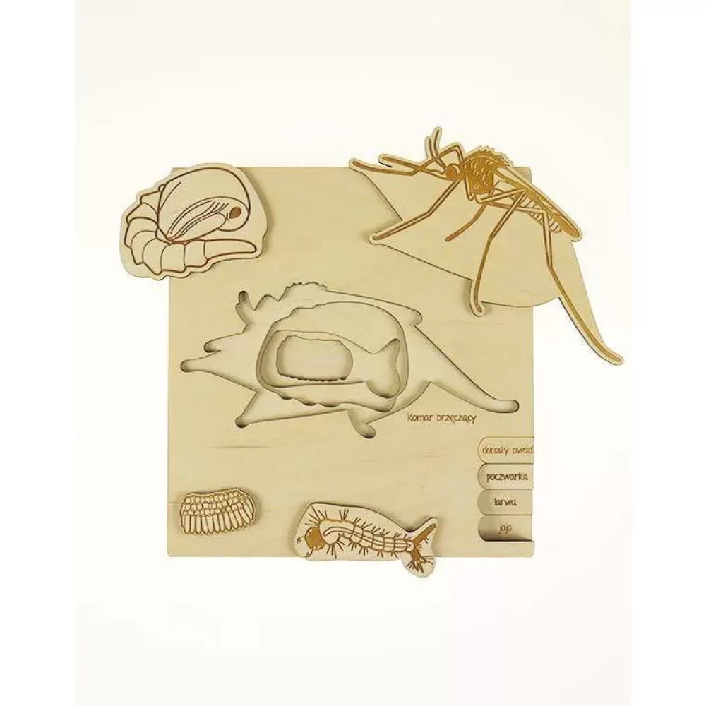 Store Stuka Puka Puzzle In Legno Ciclo Vitale Della Zanzara